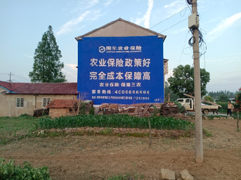 龙港墙体广告的优劣势你知道吗？