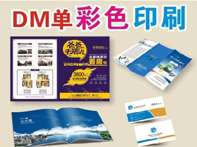 龙港单页印刷，色彩搭配简单。
